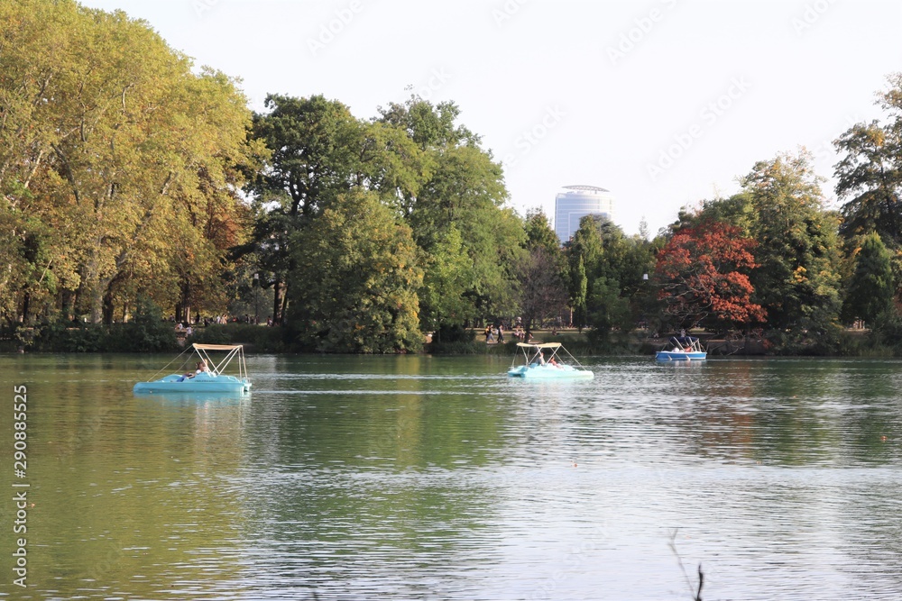 Fototapeta premium Pédalos sur le lac du Parc de la Tête d'Or à Lyon - France