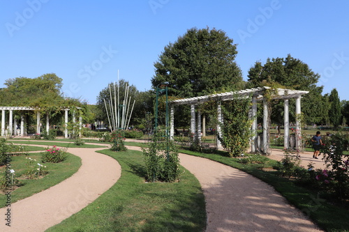 Jardin des roses - Roseraie Parc de la Tête d'Or à Lyon - France