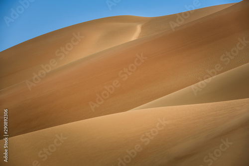Fototapeta Naklejka Na Ścianę i Meble -  into the desert, sand dunes spread as far as the horizon, the arid surrounding is spreading, 