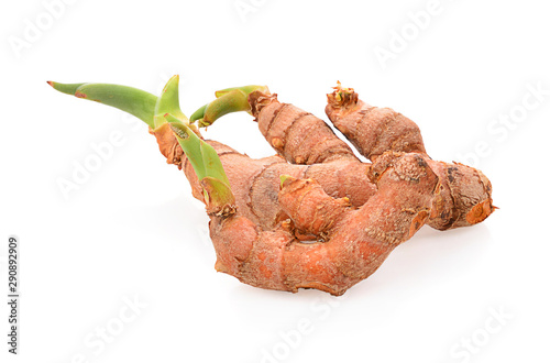 turmeric on white background