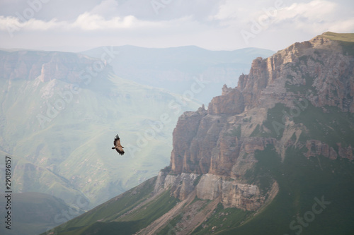 Mountain Caucasian eagle flies in the sky against the backdrop of rocky mountains and plateaus. The concept of coast and freedom of choice photo