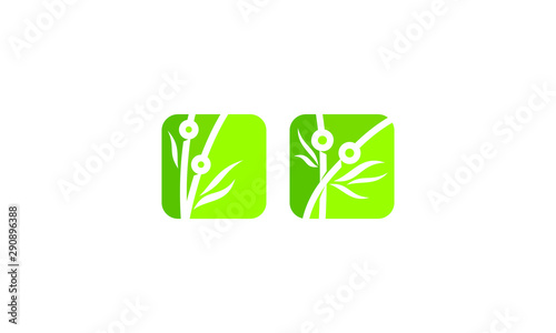 bamboo technology logo icon vector