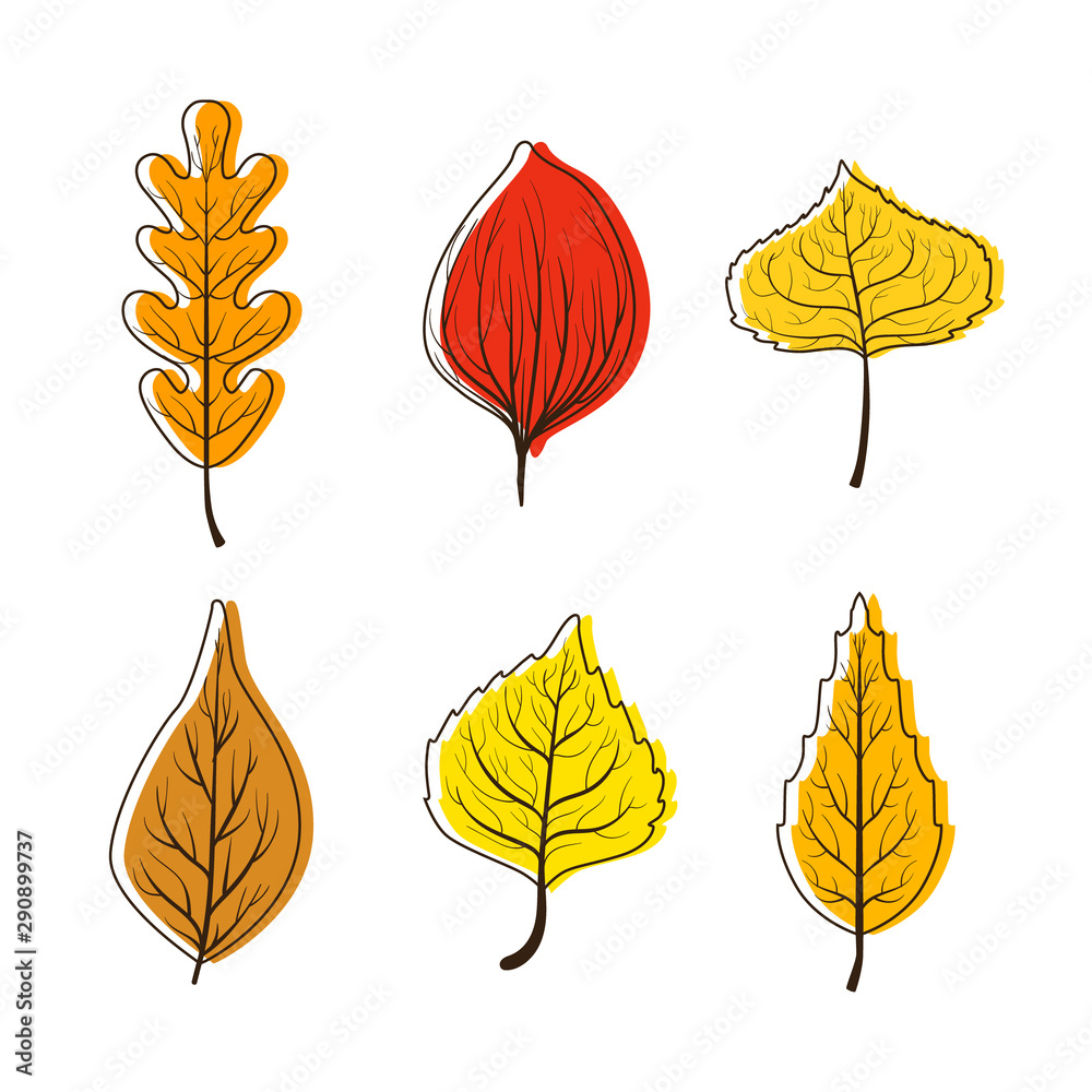 Obraz premium Collection of Bright Colorful Autumn Leaves from Different Kind Forest Trees Vector Illustration
