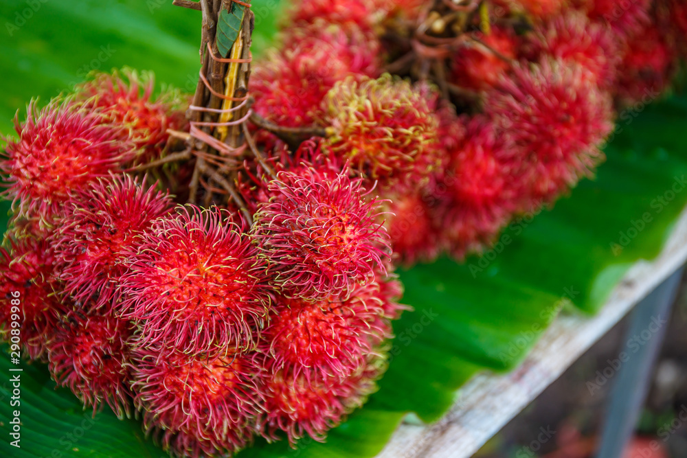 rambutan fruit on a tropical island rambutan fruit on a tropical island