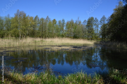 Walsrode, Niedersachsen