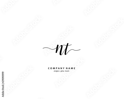 NT Initial letter logo template vector
