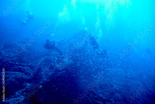 Fototapeta Naklejka Na Ścianę i Meble -  scuba diving