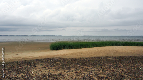 Cape Cod, USA: Schwemmwiese am Strand bei Ebbe, Bucht von Wellfleet