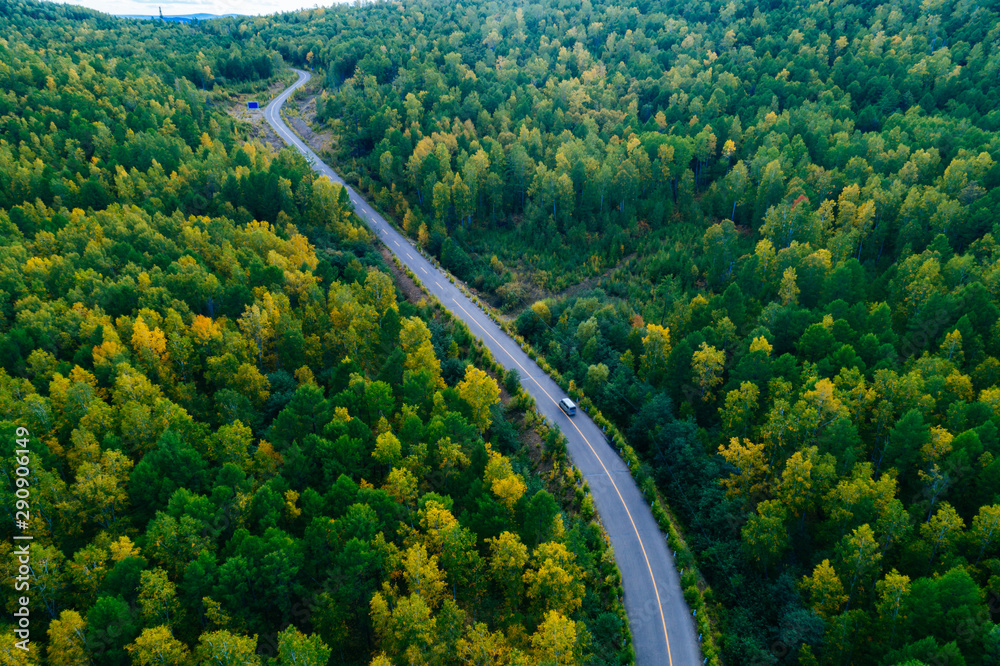 Aerial drone view of trail in colorful autumn forest
