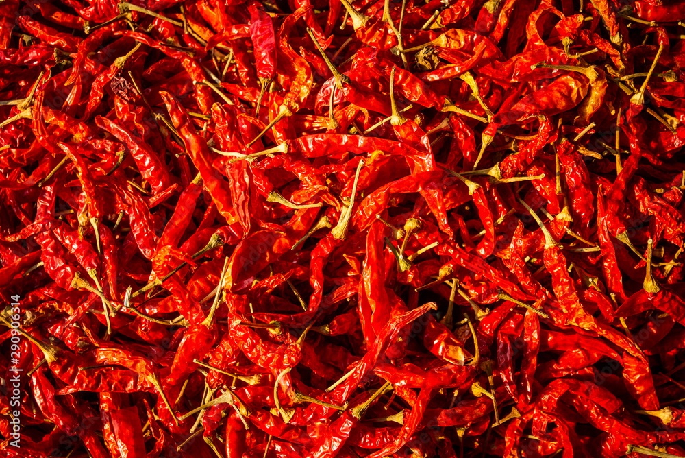 Fototapeta premium Red dry chilli in background, Dry out red chilli