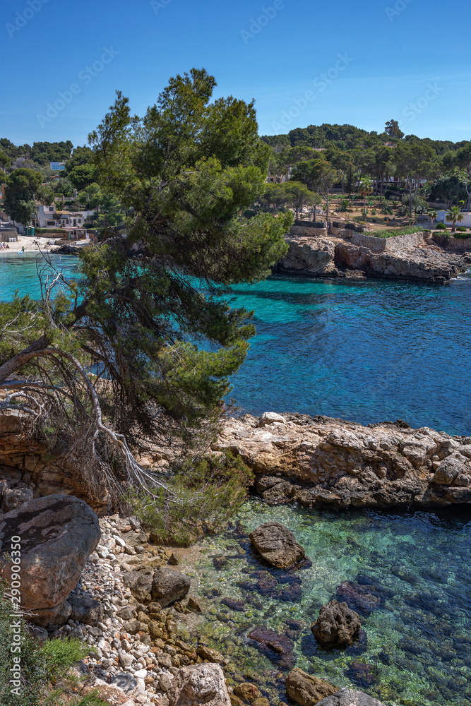 Φωτογραφία view of the bay LA CALITA, PORTALS NOUS with beach, Mallorca
