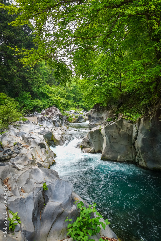Naklejka premium Kanmangafuchi abyss, Nikko, Japan