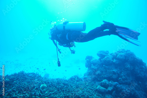 scuba diving © Metha