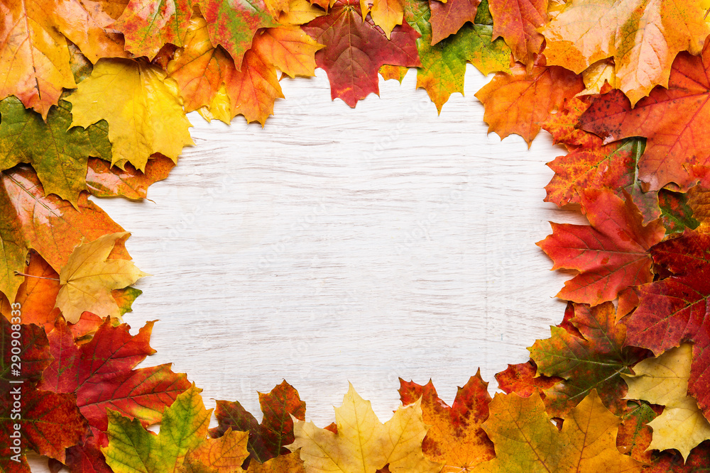 Image with autumn leaves. Image with autumn leaves.