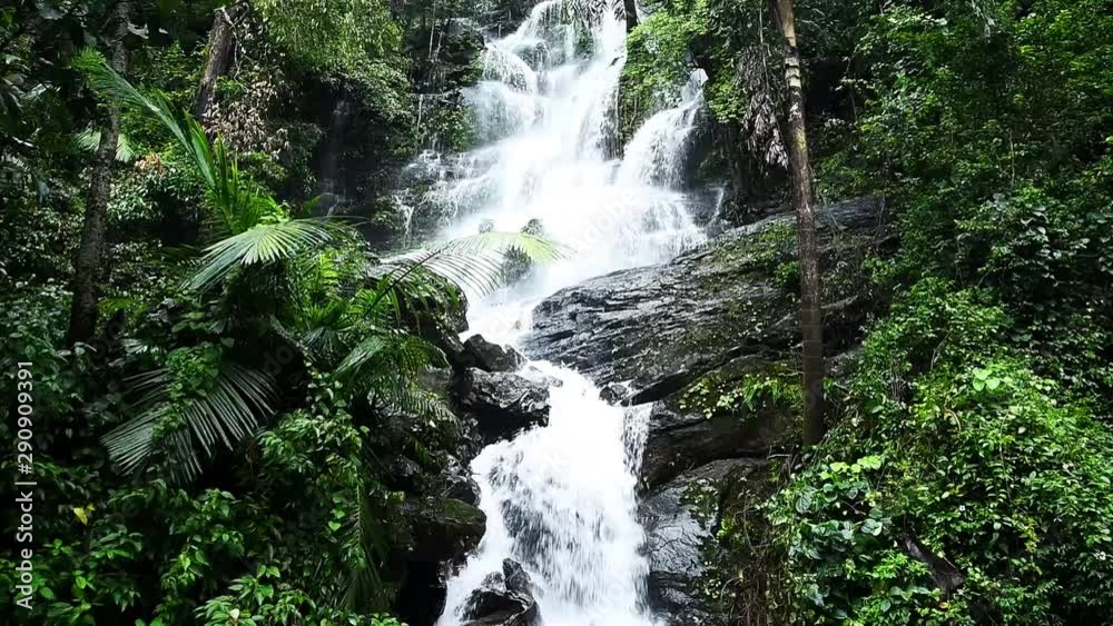 Beautiful Water Falls in the Woods, Western Ghats, Karnataka, India
