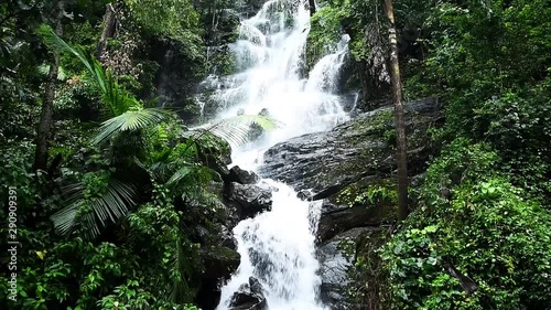 Beautiful Water Falls in the Woods, Western Ghats, Karnataka, India