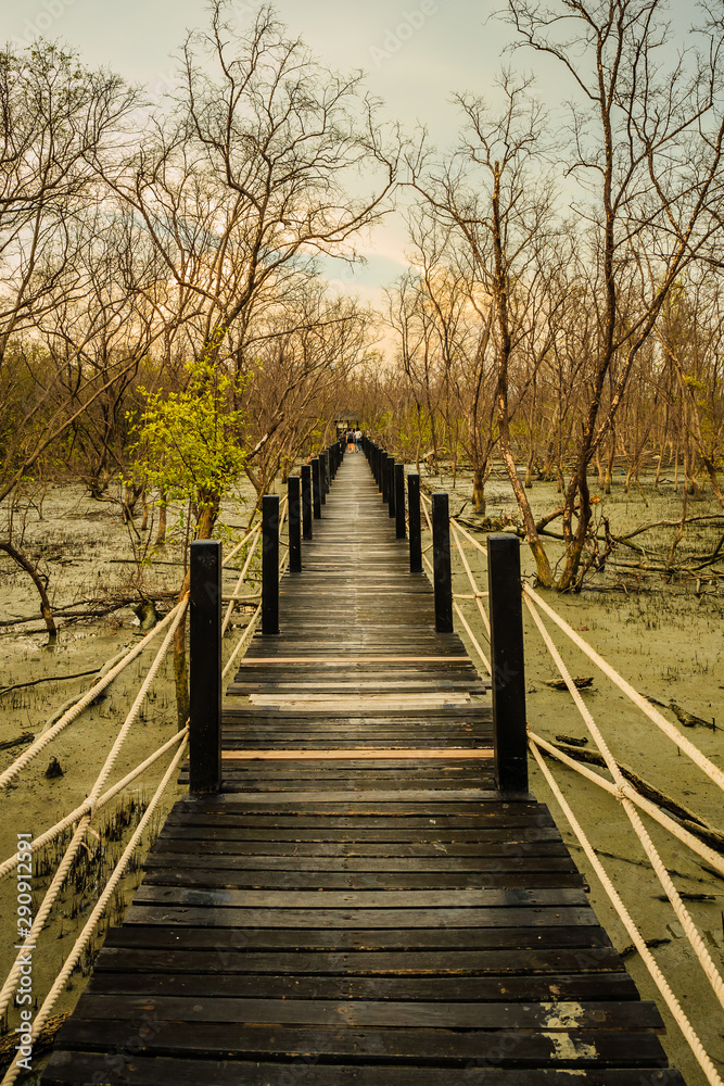 Obraz premium wooden bridge in forest