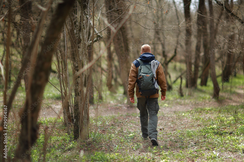 Rear view of hiker. A red-haired man in a brown-and-blue windbreaker with backpack and rope walks in spring forest. There are no foliage on trees. Blooming primrose flowers are visible on the ground.