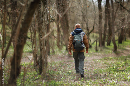 Rear view of hiker. A red-haired man in a brown-and-blue windbreaker with backpack and rope walks in spring forest. There are no foliage on trees. Blooming primrose flowers are visible on the ground.