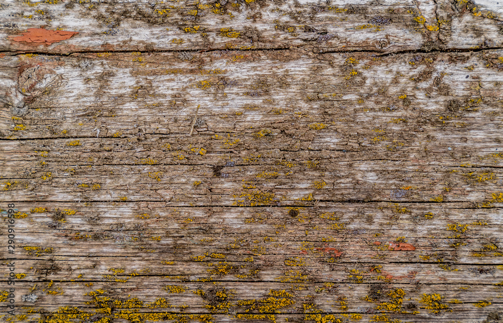 Wooden texture background. A lot of cracks on the board. Surface covered old paint, mold and moss. Colorful beautiful texture. Blue, orange, green, brown and yellow colors Wooden texture background. A lot of cracks on the board. Surface covered old paint, mold and moss. Colorful beautiful texture. Blue, orange, green, brown and yellow colors