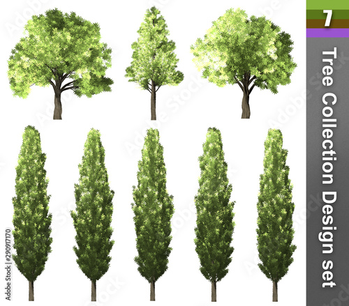 Tree correction design set. 3D Illustration. White background isolate. Nature and Gardens design.