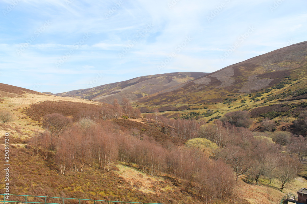 Scottish landscapes scene with hills, trees, bushes during a nice day