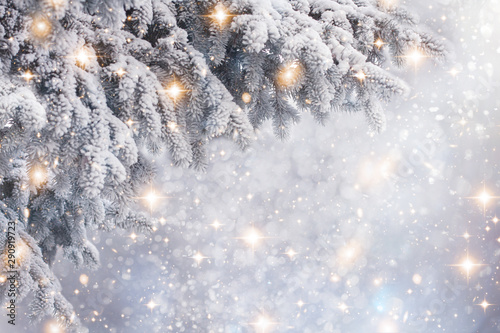 Border winter nature christmas background with frozen spruce, glitter lights, bokeh, snow. View through white frost pine branch. Happy new year. Text space. Elements of this Image Furnished by NASA © Natalia