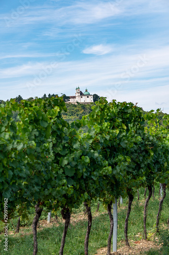 Blick auf den Leopoldsberg aus dem Weingarten n  he Wien