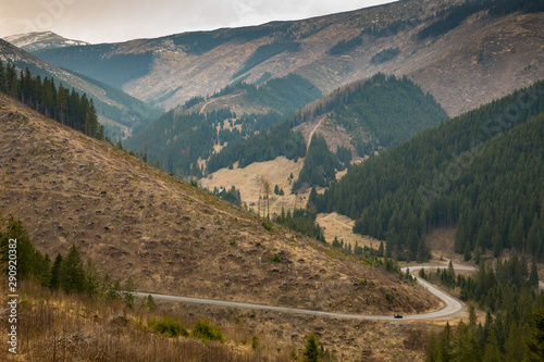 Massive deforestation in Low Tatras, Slovakia photo