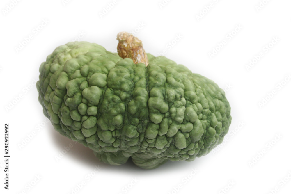 Obraz premium Italian green pumpkin called Marina di Chioggia isolated on white background. Cucurbita maxima