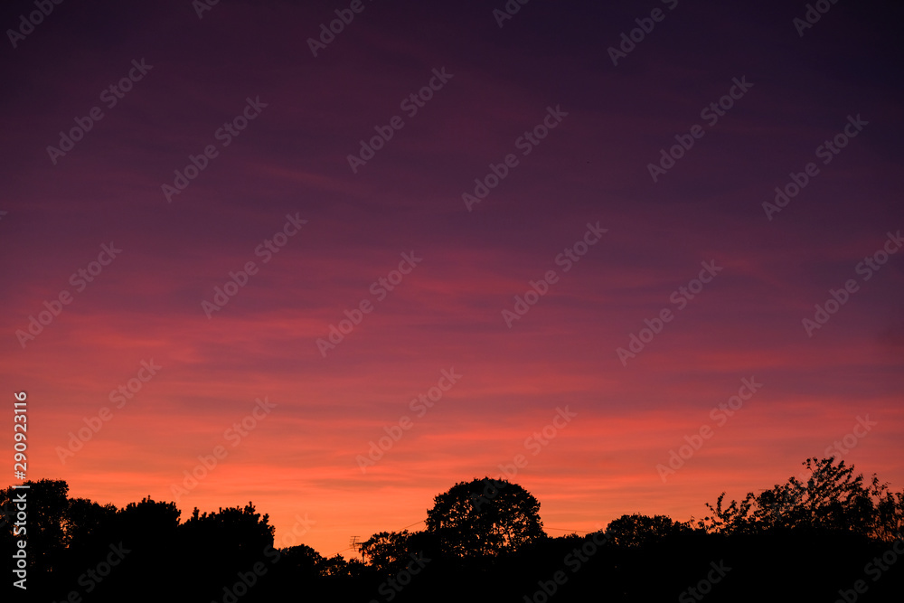 Purple and red sunset sky with silhouettes of trees