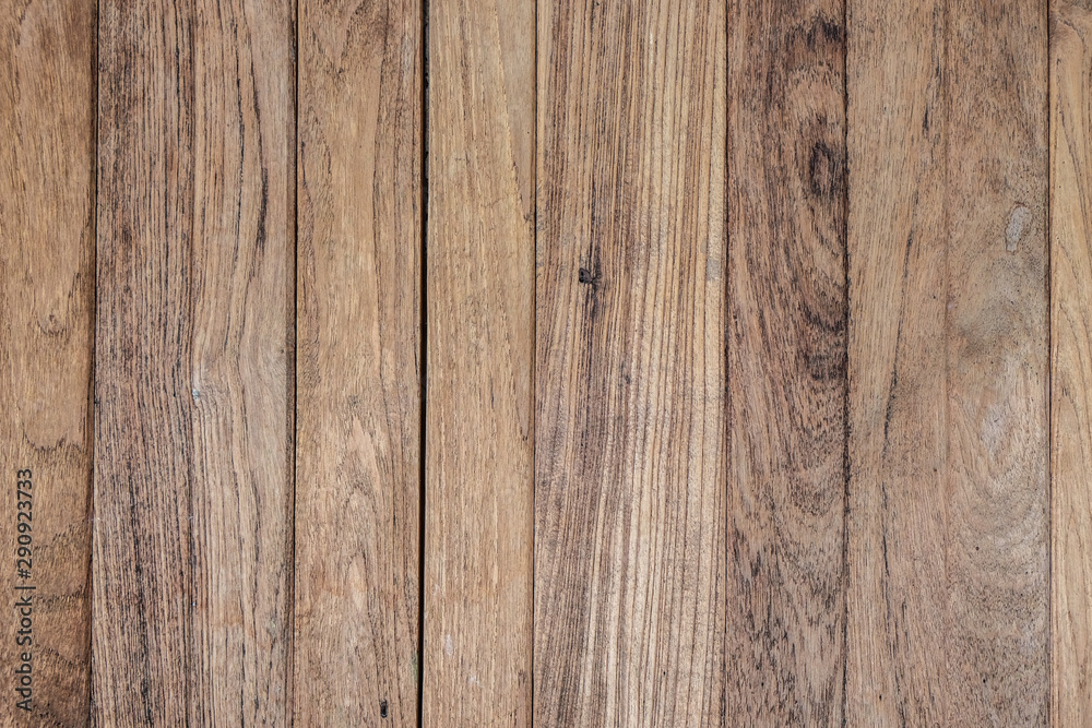 Fototapeta premium Grunge bark wood old texture