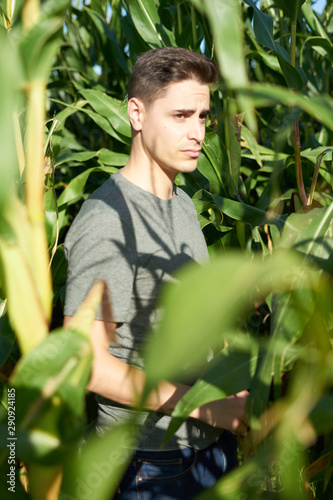 Young man on the interior of a corn field