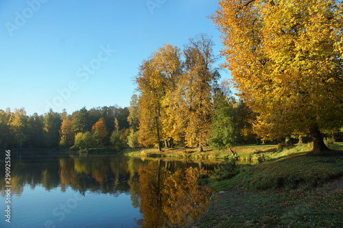 Lakeside in the park with bright yellow autumn trees on the shore
