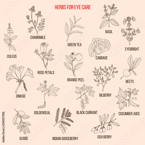 Best medicinal herbs for eyes care