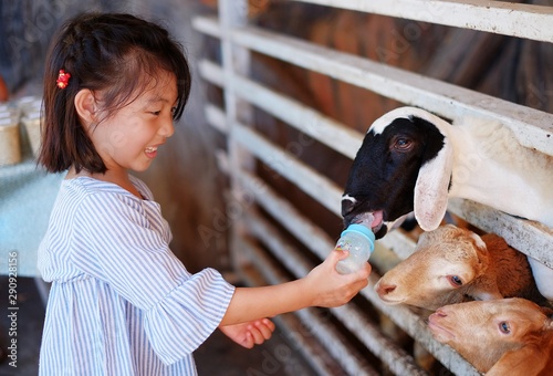 A cute Asian girl feeding a bottle of milk to goats at a farm in Thailand, happy and smiling.