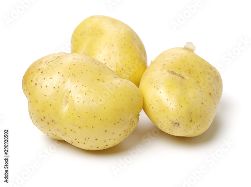 New potato isolated on white background 