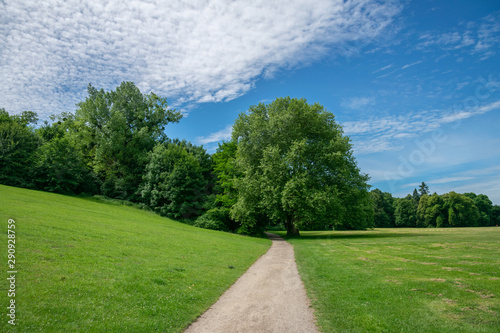 Path leading through green meadow to green trees with blue sky and white fluffy clouds – symbol for leisure time, climate, decisions and purity