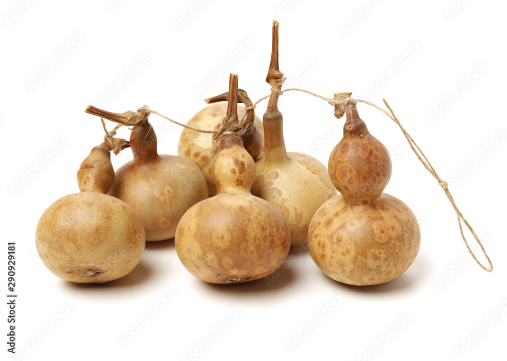 Calabash. isolated on white background. Calabash. isolated on white background.