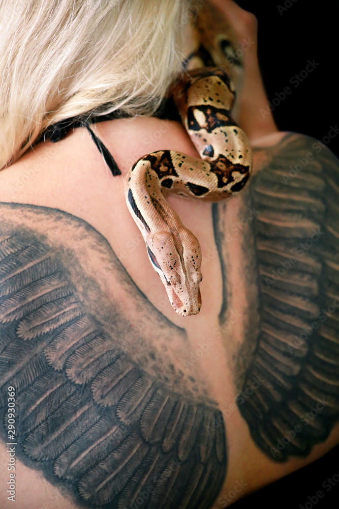 Foto Stock Snake on female shoulder and back, part woman naked body. Non  poisonous Boa constrictor snake slithering and crawling per woman's back,  shoulder, tattoo. Exotic tropical cold blooded reptile animal.