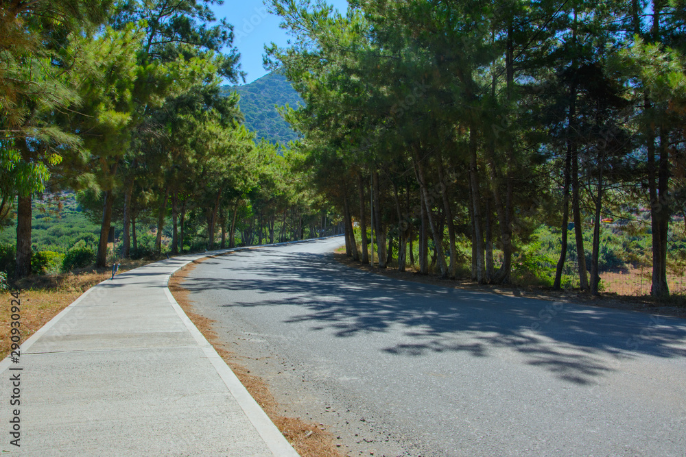 cedar pine alley and paved road with sidewalk. sky and mountains in the background