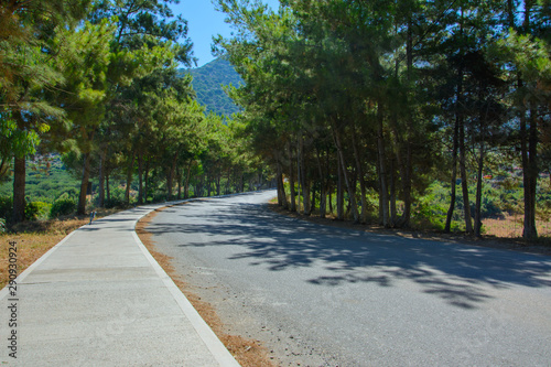 cedar pine alley and paved road with sidewalk. sky and mountains in the background © pal1983