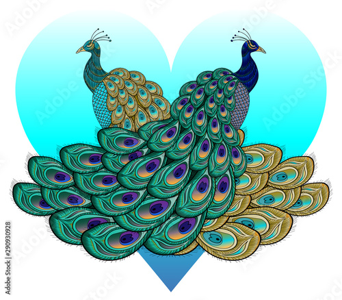 bright postcard with the image of two peacocks on the background of a heart