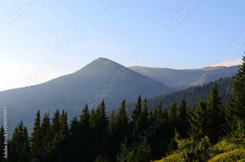 Beautiful view of the mountains on a sunny summer day