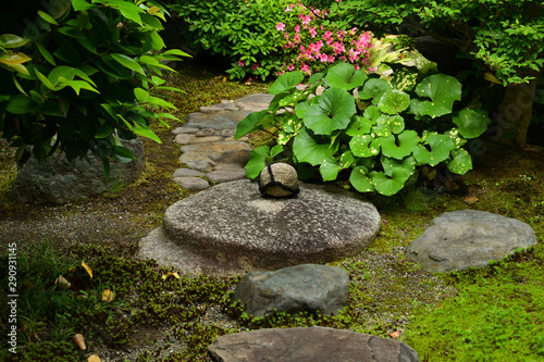 日本庭園 茶室の露地 京都 Stock Photo Adobe Stock