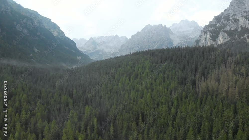 Aerial flying over evergreen pine trees of Chugach Forest, Anchorage, Alaska, North America, United States. River float between woods with distant mountain peaks on horizon Aerial flying over evergreen pine trees of Chugach Forest, Anchorage, Alaska, North America, United States. River float between woods with distant mountain peaks on horizon