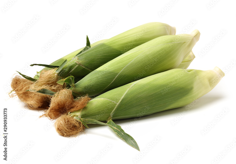 Obraz premium Fresh raw corn on white background. Plant, nutritious.