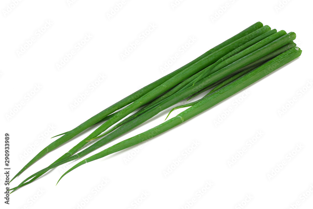 cut of green onion isolated on white background cut of green onion isolated on white background