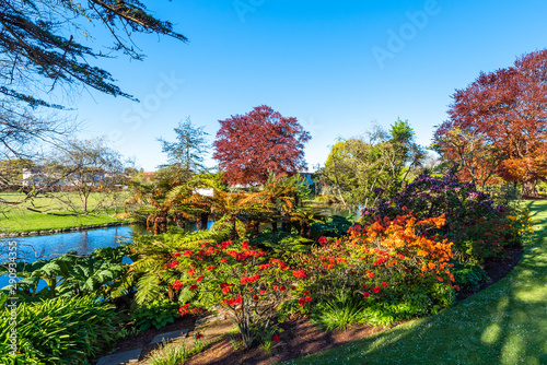 CHRISTCHURCH, NEW ZEALAND - OCTOBER 18, 2018: River landscape, Christchurch Botanic Gardens. photo