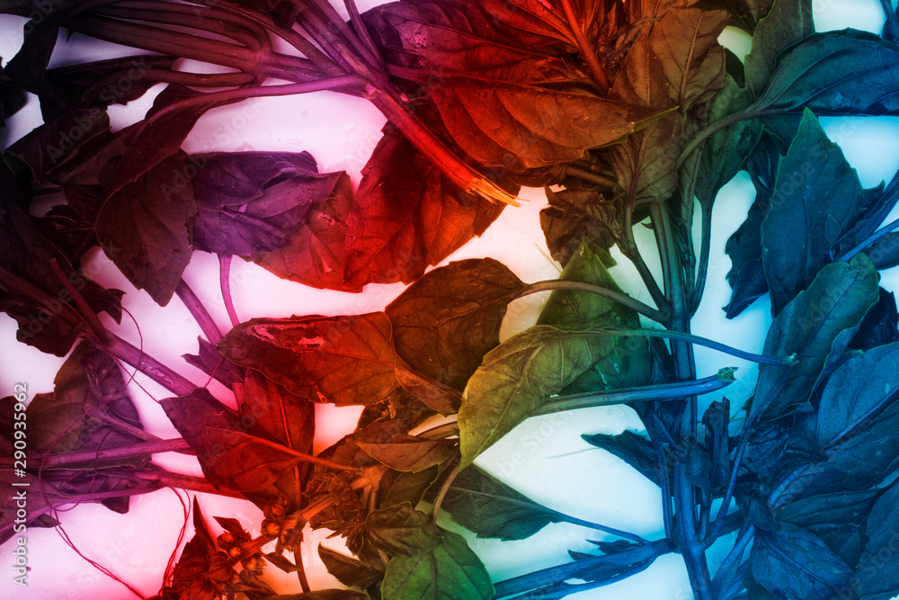abstract gradient background with leaves